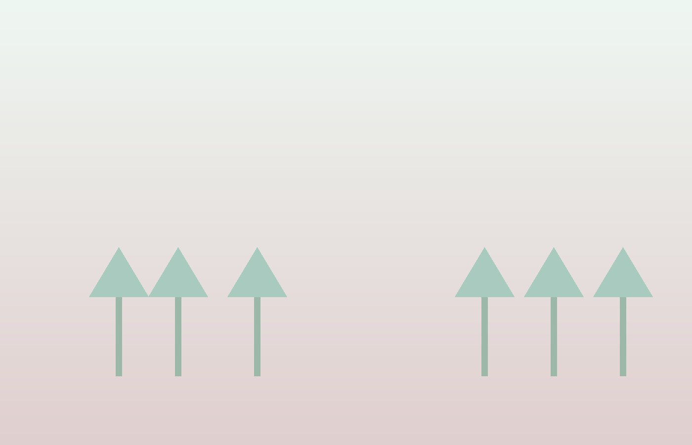 Tranquil forest